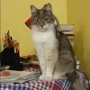 Отзыв от Элла Соловьева